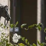 Boutique-hotel Ξενοδοχείο