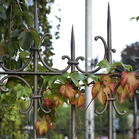 Otel Boutique-hotel 4*