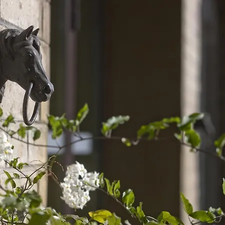 Boutique-hotel Hotel