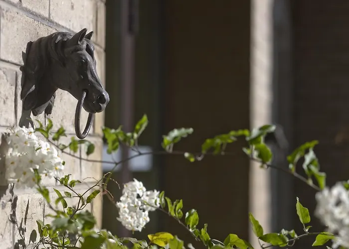 Boutique-hotel Hotel